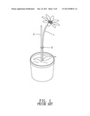 Framework for Plants diagram and image