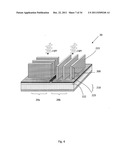 POLARIZED LIGHT DETECTING DEVICE AND FABRICATION METHODS OF THE SAME diagram and image