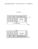 POLARIZED LIGHT DETECTING DEVICE AND FABRICATION METHODS OF THE SAME diagram and image