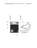 DIAMOND NANOWIRES diagram and image