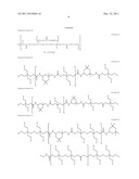 LIGHT CONTROL FILM diagram and image