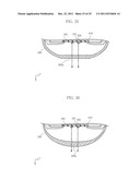 LED LAMP, LAMP CASE, LED MODULE AND LED LIGHTING APPARATUS diagram and image