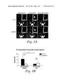 METHODS FOR IMAGING VASCULAR INFLAMMATION USING IMPROVED NANOPARTICLE     CONTRAST AGENTS diagram and image