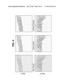 METHODS FOR STABILIZING A BIOPROSTHETIC TISSUE BY CHEMICAL MODIFICATION OF     ANTIGENIC CARBOHYDRATES diagram and image