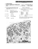 ISOLATED POPULATIONS OF RENAL STEM CELLS AND METHODS OF ISOLATING AND     USING SAME diagram and image