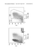 ISOLATED POPULATIONS OF RENAL STEM CELLS AND METHODS OF ISOLATING AND     USING SAME diagram and image