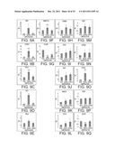 ISOLATED POPULATIONS OF RENAL STEM CELLS AND METHODS OF ISOLATING AND     USING SAME diagram and image