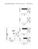 ISOLATED POPULATIONS OF RENAL STEM CELLS AND METHODS OF ISOLATING AND     USING SAME diagram and image