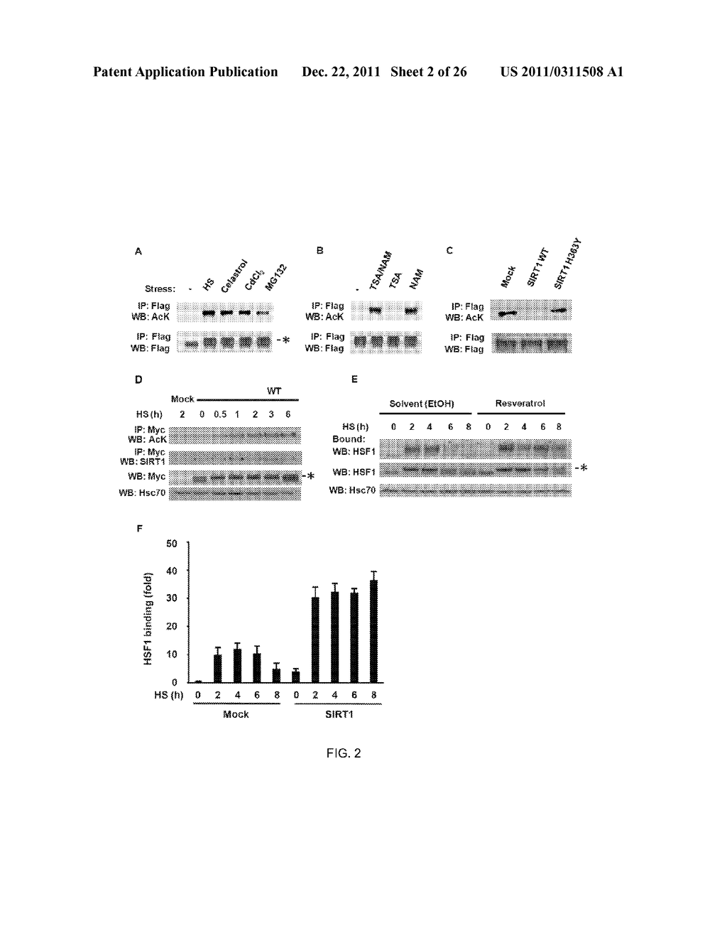 METHOD OF MODULATING HSF-1 - diagram, schematic, and image 03