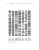 CRYSTAL STRUCTURE OF PfA-M1 AND THE PfA-M1 Co4 COMPLEX diagram and image