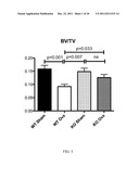 METHODS OF TREATMENT OF BONE DEGENERATIVE DISEASES diagram and image