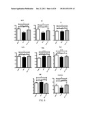 METHODS OF TREATMENT OF BONE DEGENERATIVE DISEASES diagram and image