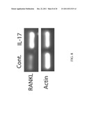 METHODS OF TREATMENT OF BONE DEGENERATIVE DISEASES diagram and image