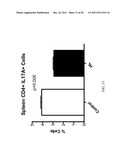 METHODS OF TREATMENT OF BONE DEGENERATIVE DISEASES diagram and image