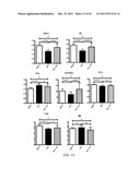 METHODS OF TREATMENT OF BONE DEGENERATIVE DISEASES diagram and image