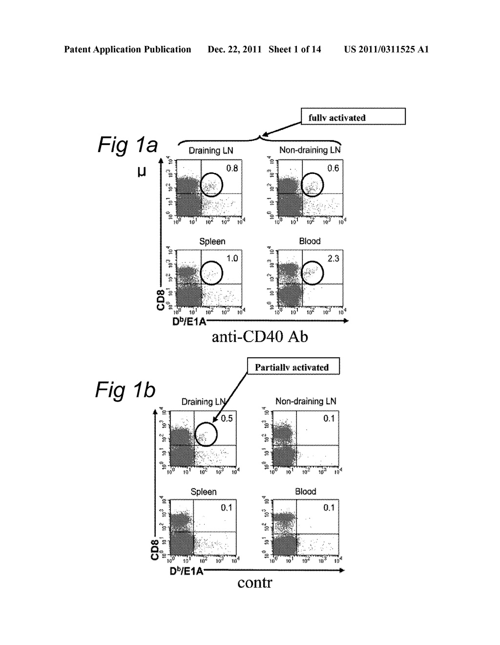 DELIVERY OF A CD40 AGONIST TO A TUMOR DRAINING LYMPH NODE OF A SUBJECT - diagram, schematic, and image 02