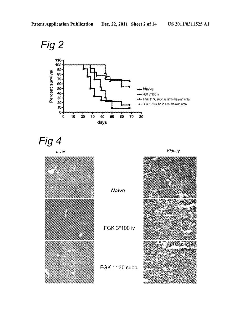 DELIVERY OF A CD40 AGONIST TO A TUMOR DRAINING LYMPH NODE OF A SUBJECT - diagram, schematic, and image 03