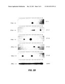 DIAGNOSIS AND TREATMENT OF CANCER USING CANCER-TESTIS ANTIGENS diagram and image