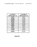 MUTANT PROTEINS OF THE F PROTEIN OF PIV-5 AND PIV-2 diagram and image