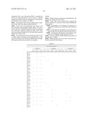 MUTANT PROTEINS OF THE F PROTEIN OF PIV-5 AND PIV-2 diagram and image