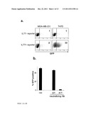 Recombinant Bone Marrow Stromal Antigen-2 in the Treatment of Autoimmune     Diseases diagram and image