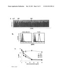 Recombinant Bone Marrow Stromal Antigen-2 in the Treatment of Autoimmune     Diseases diagram and image