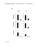 Recombinant Bone Marrow Stromal Antigen-2 in the Treatment of Autoimmune     Diseases diagram and image