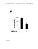 Recombinant Bone Marrow Stromal Antigen-2 in the Treatment of Autoimmune     Diseases diagram and image