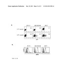 Recombinant Bone Marrow Stromal Antigen-2 in the Treatment of Autoimmune     Diseases diagram and image