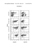 METHOD OF IDENTIFYING CD4+ CD25+ T-CELLS ACTIVATED TO AN ANTIGEN WHICH     EXPRESS CD8 diagram and image