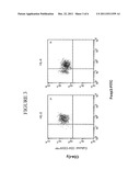 METHOD OF IDENTIFYING CD4+ CD25+ T-CELLS ACTIVATED TO AN ANTIGEN WHICH     EXPRESS CD8 diagram and image