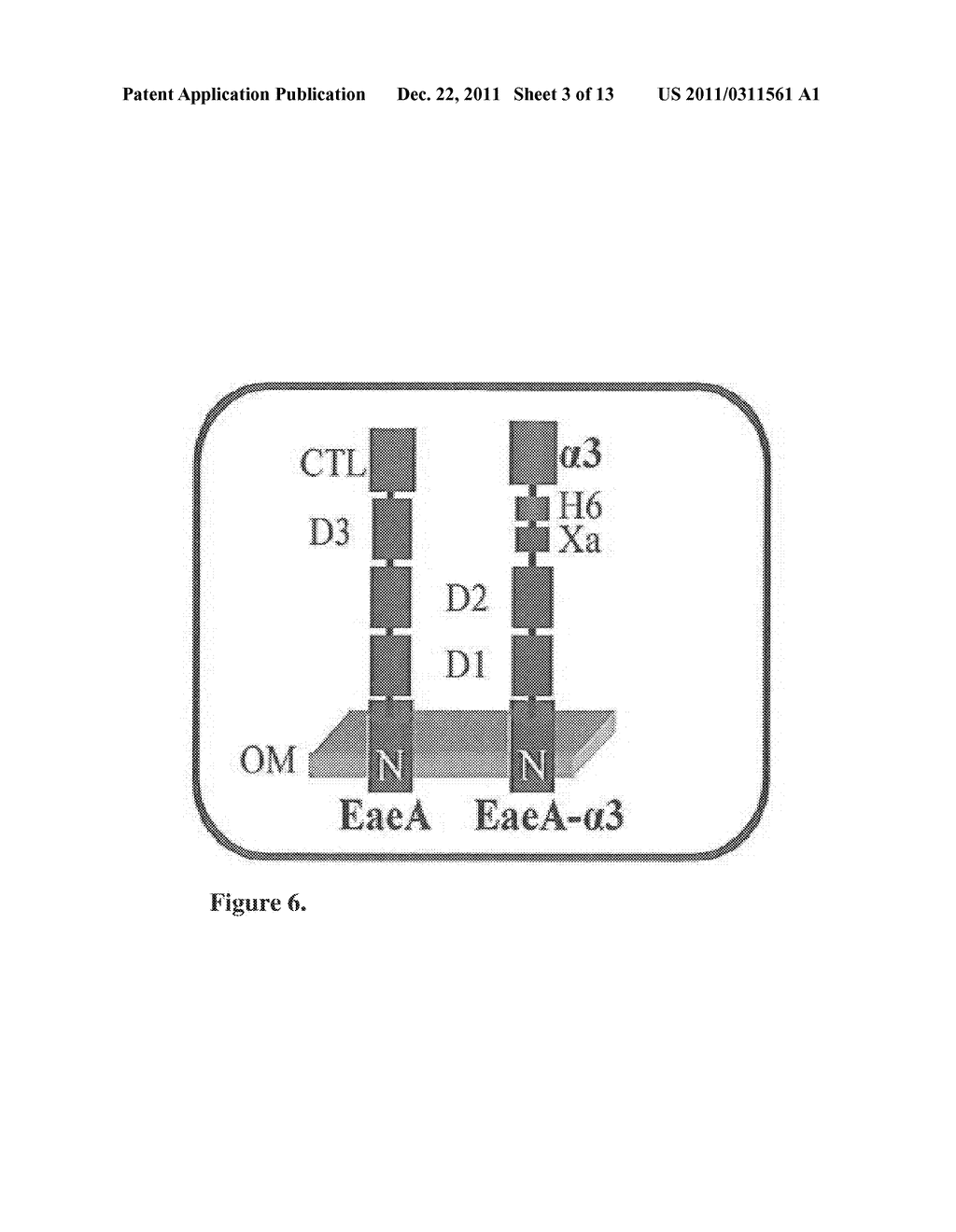 NON-NATURAL MIC PROTEINS - diagram, schematic, and image 04