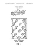 Phage Constructs, Sequences and Antigenic Compositions for     Immunocontraception of Animals diagram and image