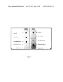 SPLITTING GP41 diagram and image