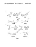 CARDENOLIDES FOR THE TREATMENT OF OCULAR CANCER diagram and image