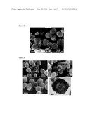 HOLLOW NANOPARTICLES AND NANOCOMPOSITES AND METHODS OF MAKING HOLLOW     NANOPARTICLES AND NANOCOMPOSITES diagram and image