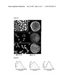 HOLLOW NANOPARTICLES AND NANOCOMPOSITES AND METHODS OF MAKING HOLLOW     NANOPARTICLES AND NANOCOMPOSITES diagram and image