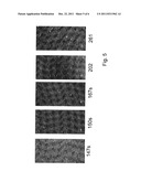 METHOD FOR HIGH-RESOLUTION DETECTION OF NANOPARTICLES ON TWO-DIMENSIONAL     DETECTOR SURFACES diagram and image