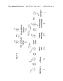 METHODS OF ENHANCING TRANSLOCATION OF CHARGED ANALYTES THROUGH     TRANSMEMBRANE PROTEIN PORES diagram and image