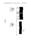 METHODS OF ENHANCING TRANSLOCATION OF CHARGED ANALYTES THROUGH     TRANSMEMBRANE PROTEIN PORES diagram and image