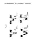 METHODS OF ENHANCING TRANSLOCATION OF CHARGED ANALYTES THROUGH     TRANSMEMBRANE PROTEIN PORES diagram and image