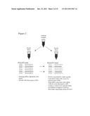 Novel Single Nucleotide Polymorphisms and Combinations of Novel and Known     Polymorphisms for Determining the Allele-Specific Expression of the IGF2     Gene diagram and image