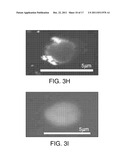 COMPOSITIONS AND METHODS FOR INTRACELLULAR ANALYTE ANALYSIS diagram and image