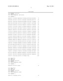 CONSISTENT HIGH EXPRESSION VECTOR CONTAINING REP E MUTATED GENE diagram and image