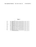 DNA POLYMERASES WITH INCREASED  3 -MISMATCH DISCRIMINATION diagram and image