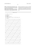 DNA POLYMERASES WITH INCREASED  3 -MISMATCH DISCRIMINATION diagram and image