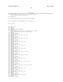 DNA POLYMERASES WITH INCREASED  3 -MISMATCH DISCRIMINATION diagram and image