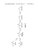 MICROORGANISMS AND METHODS FOR THE PRODUCTION OF ETHYLENE GLYCOL diagram and image