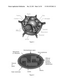 PHOTOBIOREACTOR SYSTEM FOR MASS PRODUCTION OF MICROORGANISMS diagram and image