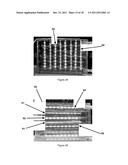 PHOTOBIOREACTOR SYSTEM FOR MASS PRODUCTION OF MICROORGANISMS diagram and image